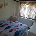 Roodborstje 4 Persoonschalet * Putten