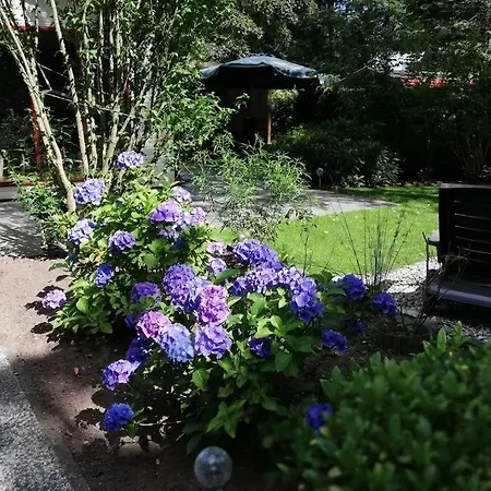 Chalet Roodborstje 4 Persoonschalet *