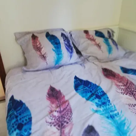 Roodborstje 4 Persoonschalet بوتِنْ