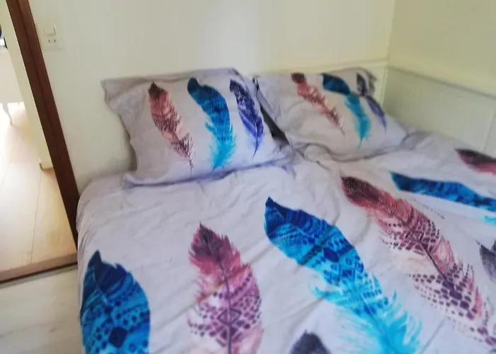 Roodborstje 4 Persoonschalet Пюттен