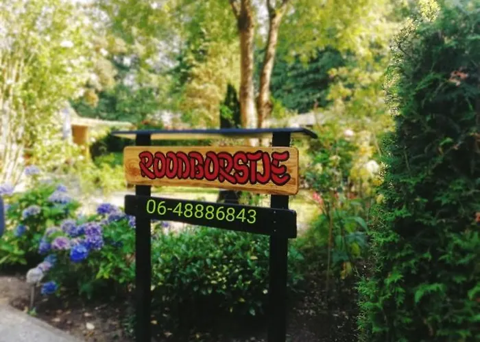 Roodborstje 4 Persoonschalet *