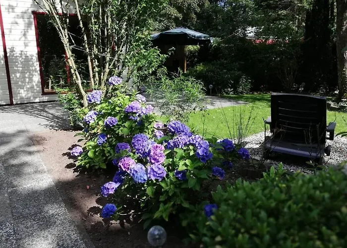 Chalet Roodborstje 4 Persoonschalet *