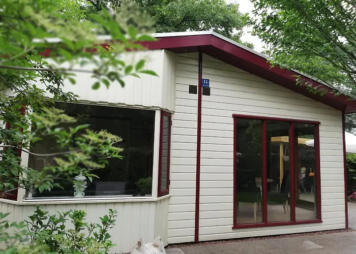 Roodborstje 4 Persoonschalet Putten